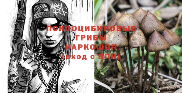 прущий лед Переславль-Залесский