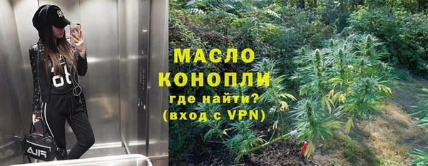 винт Инта