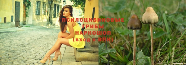 мяу мяу мука Покров