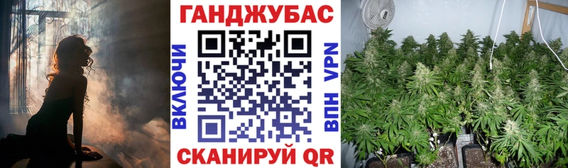 Конопля сатива  где можно купить   ссылка на мегу вход  Боровск 